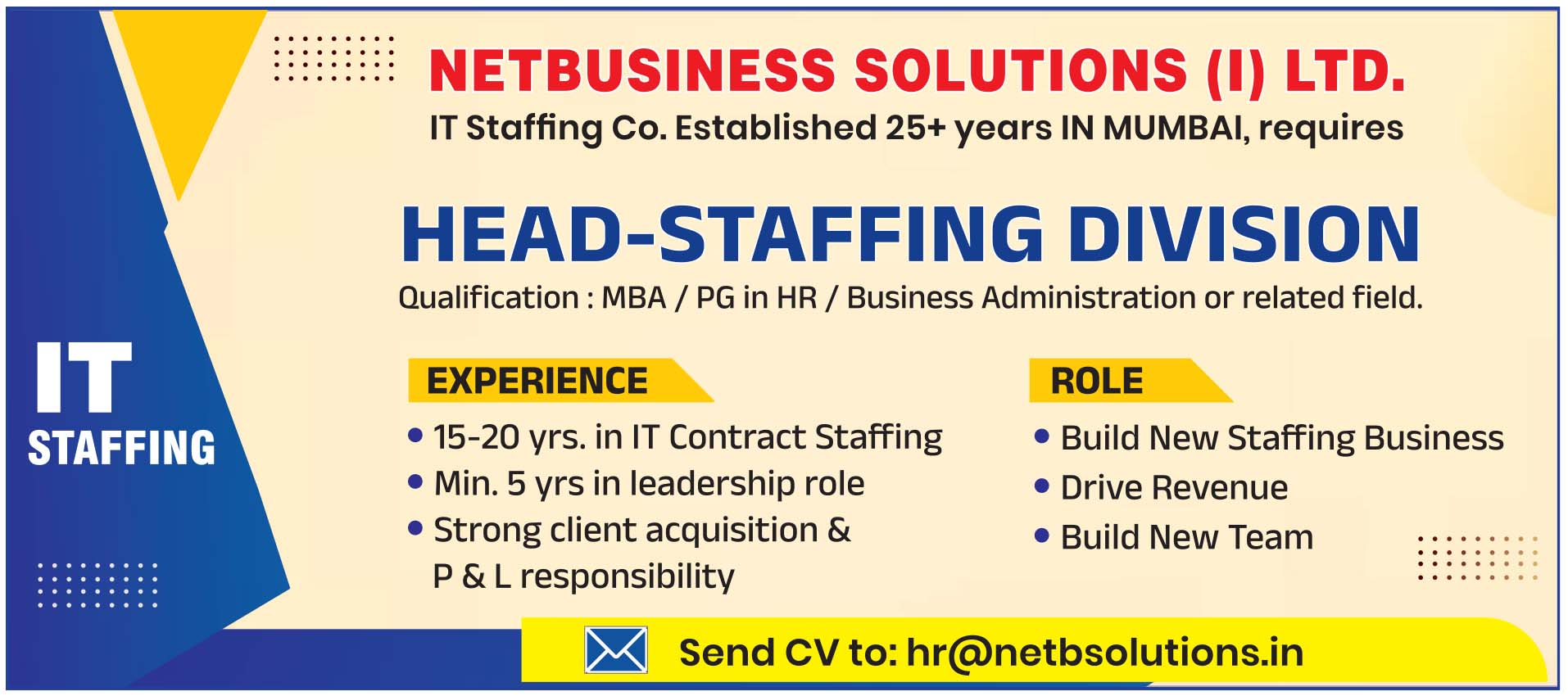 NetBusiness Solutions (I) Ltd logo